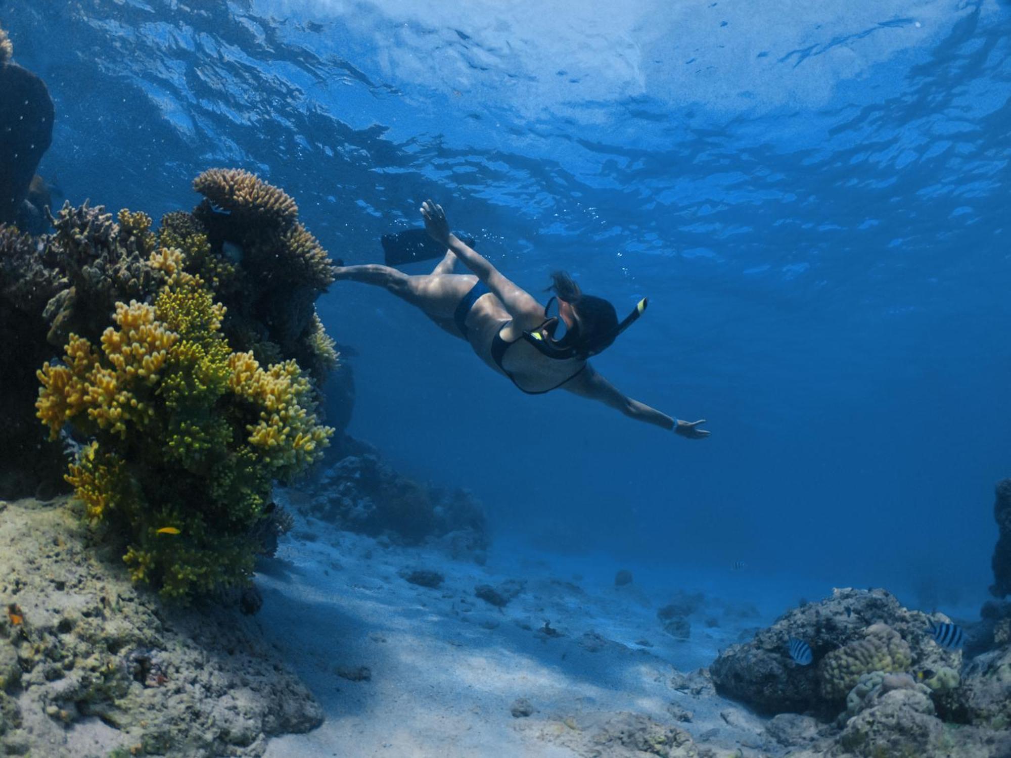 Mantaray Island Resort Nanuya Balavu Island Eksteriør bilde