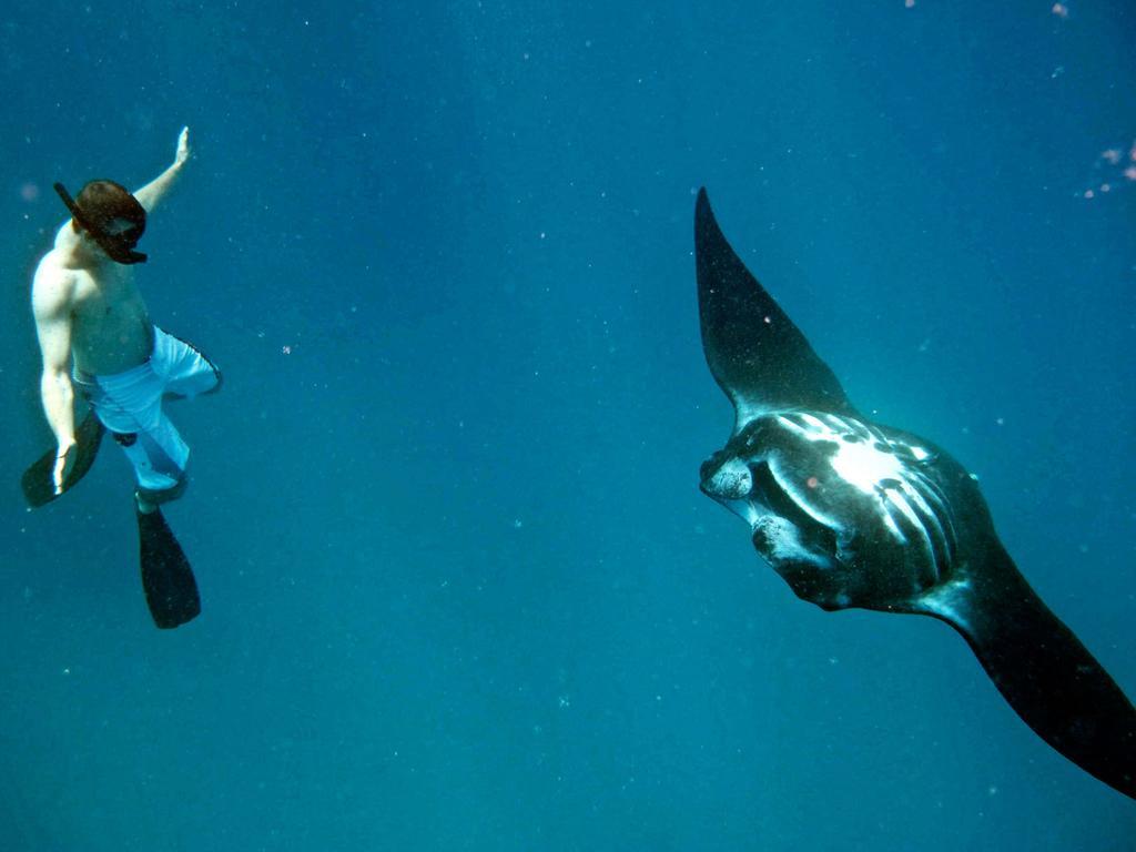Mantaray Island Resort Nanuya Balavu Island Eksteriør bilde